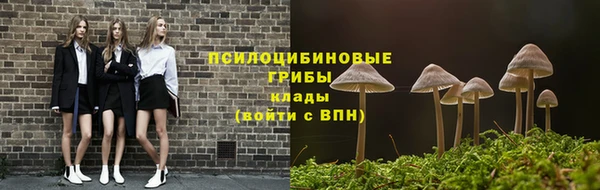 соль ск Арсеньев