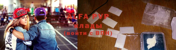 индика Приозерск