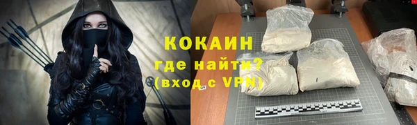 индика Приозерск
