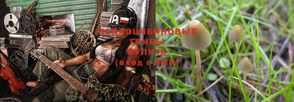 соль ск Арсеньев