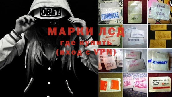индика Приозерск