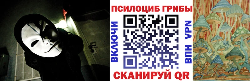 дарнет шоп  Барыш  ОМГ ОМГ ссылки  Галлюциногенные грибы мицелий 