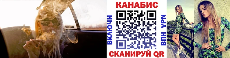 Бошки Шишки планчик  купить  цена  МЕГА   Барыш 